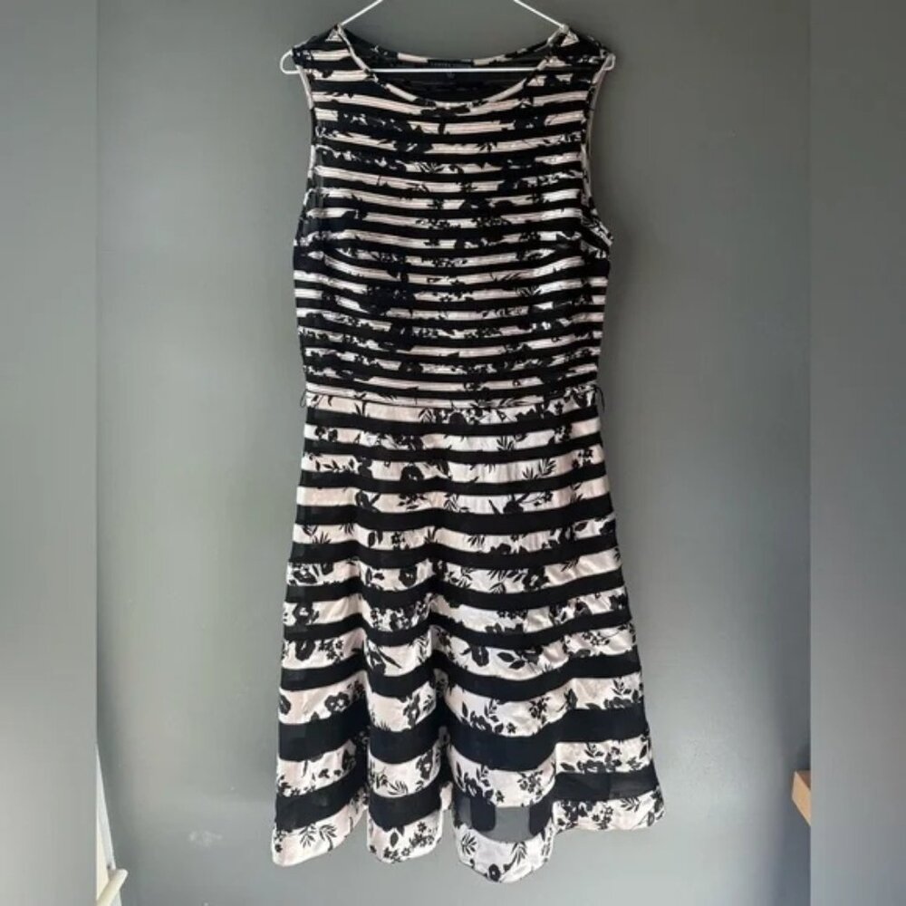 Sandra Darren Lattice Sheer Accent Dress Black Sz 12, scoop neck, A line, floral